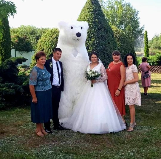 Білий ведмідь Бровари,Ірпінь,Буча,Обухів,Васильків,Бориспіль,Фастів,Біла Церква замовлення аниматор. Київ - зображення 6