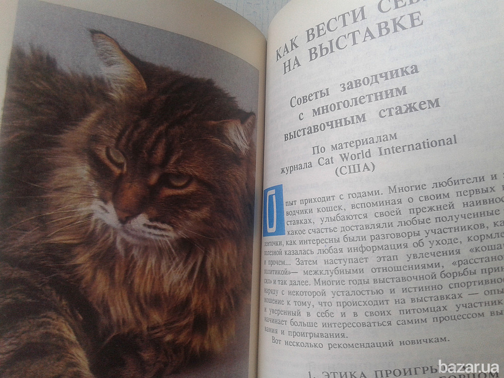 КОШКИ ("Вечные,священные,неприкосновенные") Нікополь - зображення 8