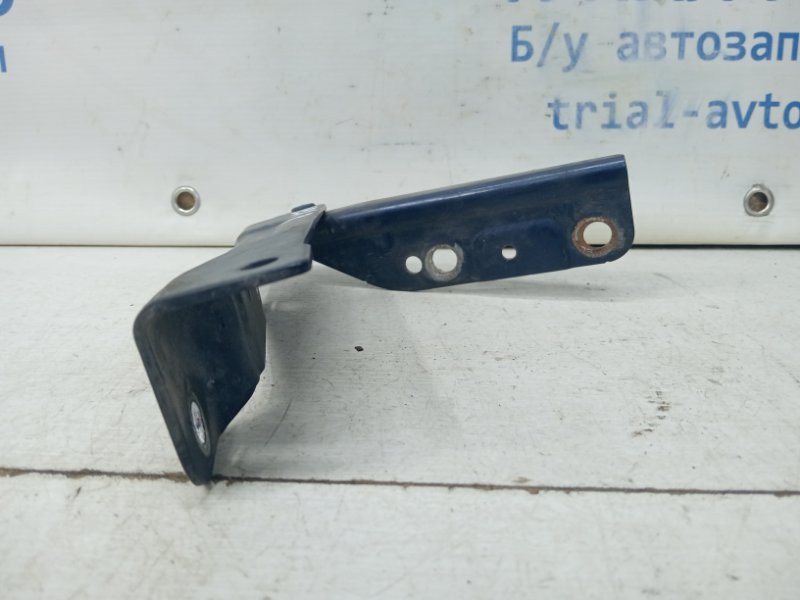 Петля капота правая SsangYong Rexton Y250 2.7 D27DT 2006 (б/у) Киев - изображение 3