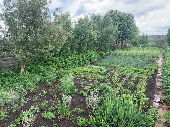 продажа земля сельскохозяйственного назначения Киево-Святошинский, Ирпень, 10000 $ Ірпінь - зображення 8