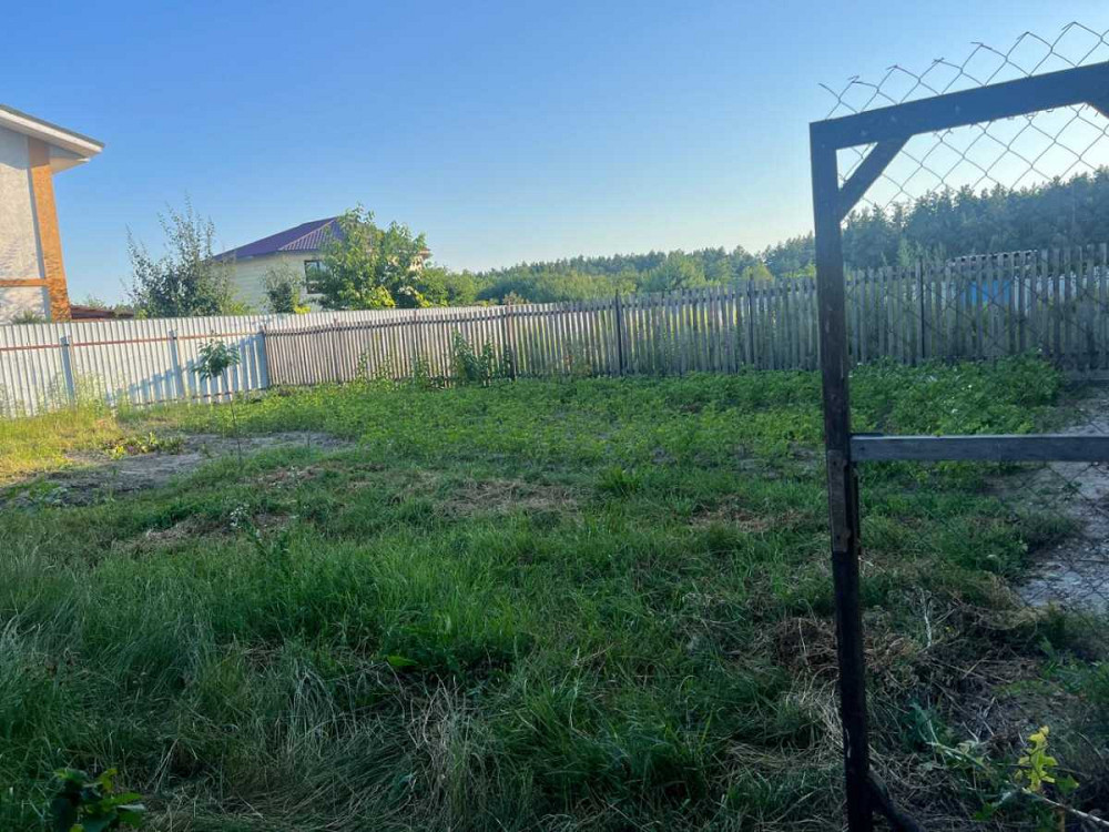 продажа 4-к дом Васильковский, Липовый Скиток, 39000 $  - изображение 4