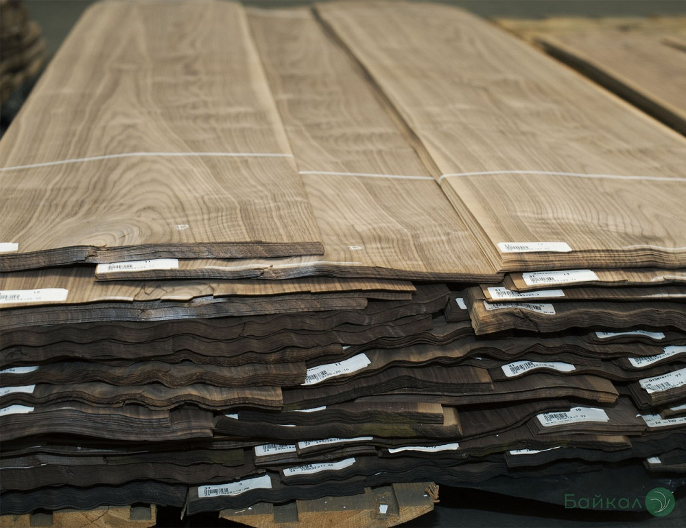 Шпон ОРЕХ Американский Київ - зображення 1