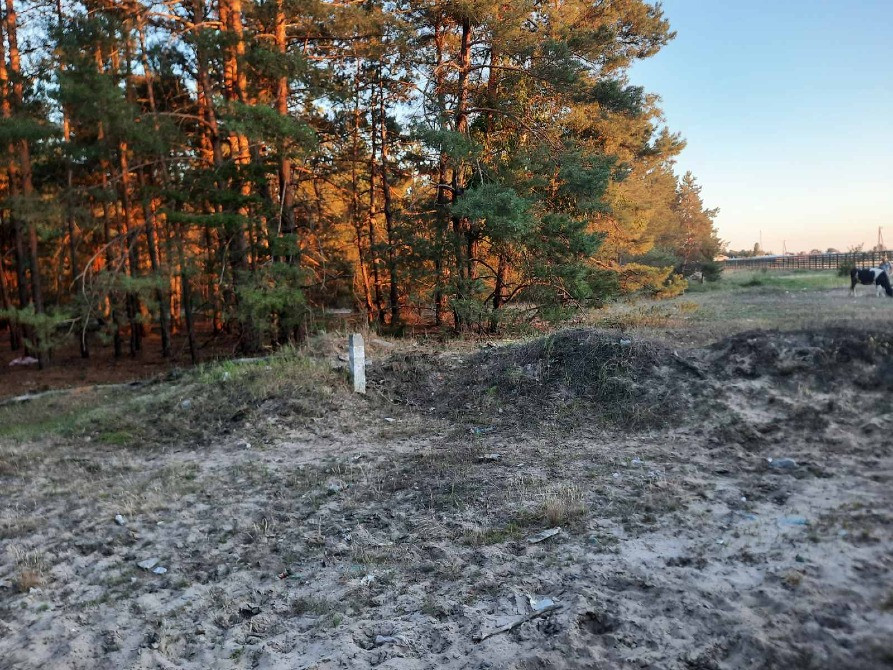 🌲 Продаж земельної ділянки в сосновому борі, с. Лебедівка! 🌲 Вышгород - изображение 4