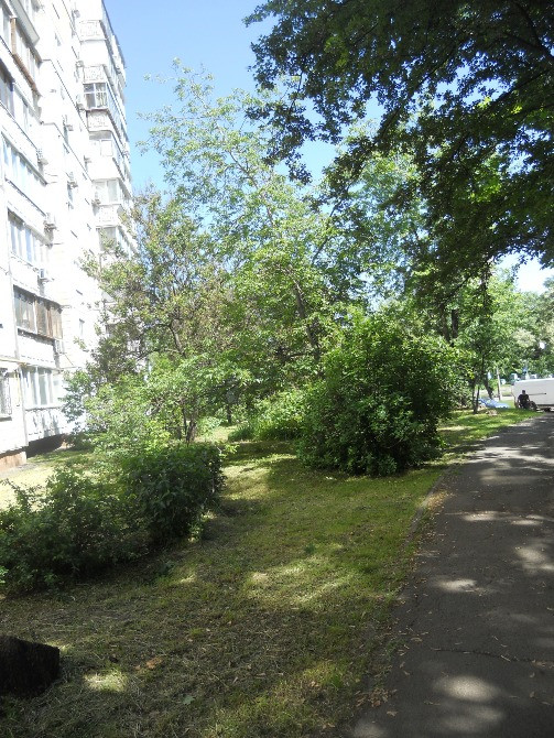Здам 2 кім. Виноградар. просп. Європейського Союзу,8 Київ - зображення 1