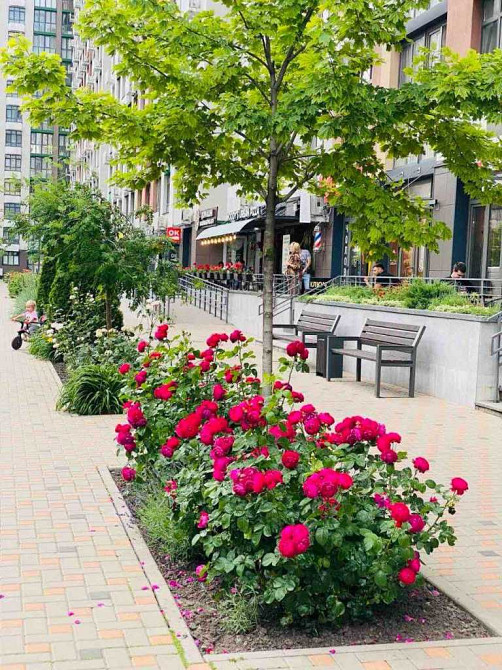 продажа 3-к квартира Киев, Подольский, 130000 $ Київ - зображення 8