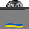 295/35 R20 Hankook Winter i*cept evo3 W330 105W Легкова шина Київ