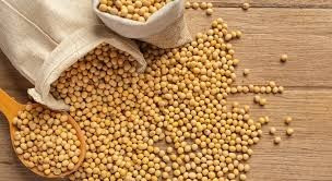 Приймаю сою (половинки) та зерновідходи кукурудзи Черкаси - зображення 1