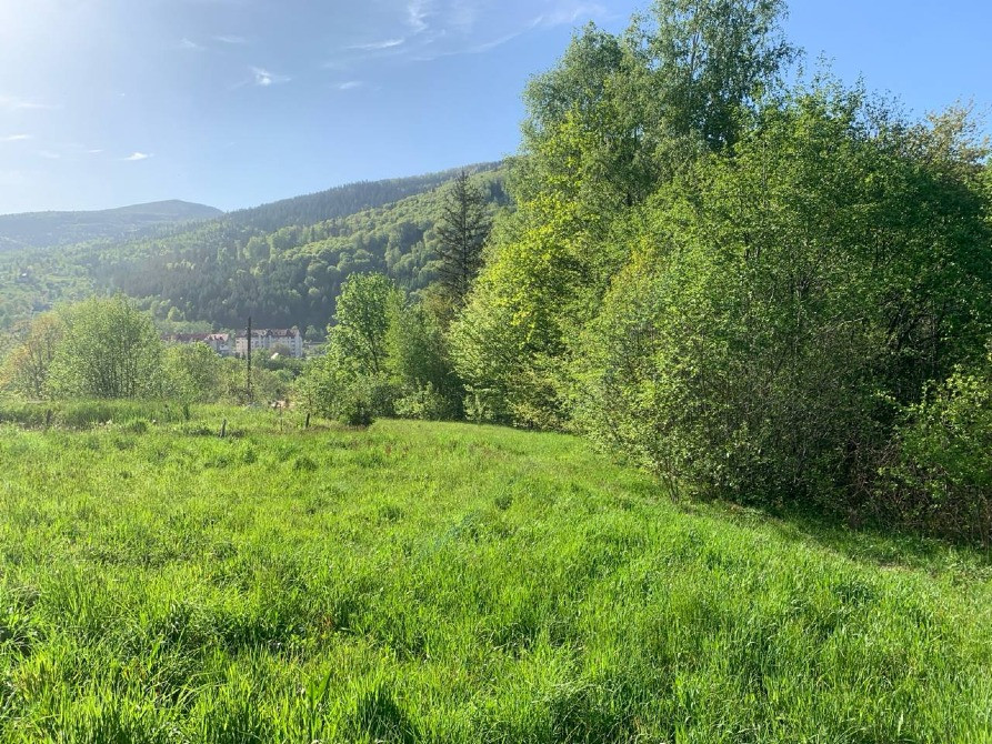 Земельна ділянка в Яремче 0.25 га Яремче - зображення 5