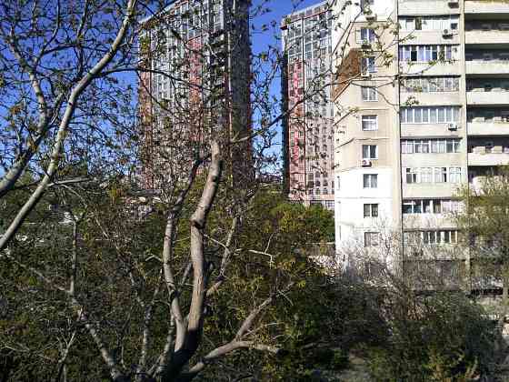 Сдам однокомнатную квартиру на Толбухина Одеса