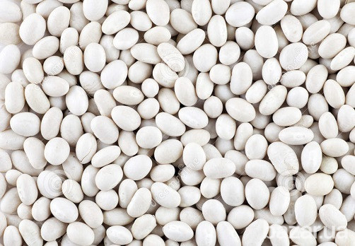 Квасоля в будь-яких обсягах куплю Чернігів - зображення 1