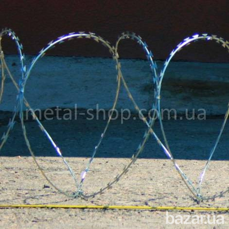 Егоза Казачка 450/3 (колючая проволока) Запорожье - изображение 2