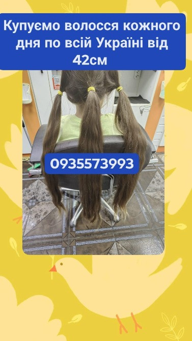 Продать волосся дорого по всій Україні від 42см -0935573993 Київ - зображення 1