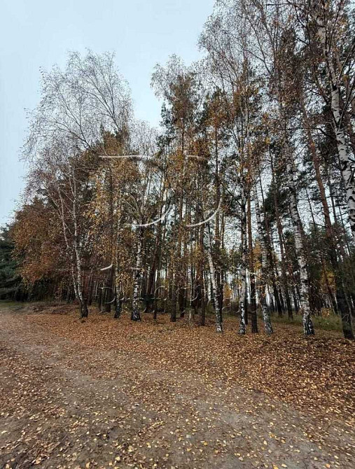 продажа участок под жилую застройку Вышгородский, Демидов, 27000 $  - зображення 2