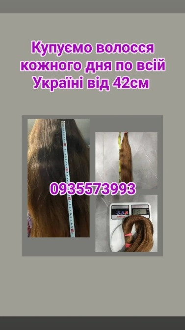 Скуповуємо волосся в Києві та по всій Україні від 42см -0935573993 Днепр - изображение 1