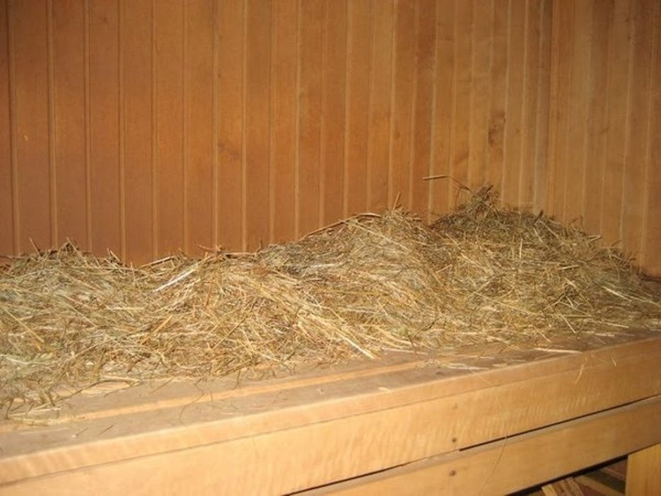 Сдам посуточно дом-сруб на воде. ул.Трухановская,5. Киев - изображение 7