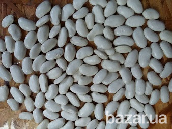 Куплю квасолю. Продати квасолю Дніпро - зображення 1