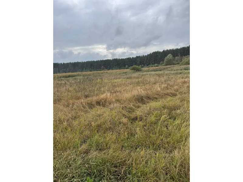 продажа земля сельскохозяйственного назначения Вышгородский, Литвиновка, 341828 грн.  - изображение 10