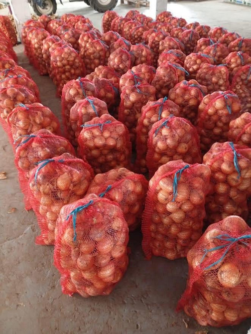 Продам цибулю "Центуріон" Житомир - зображення 1