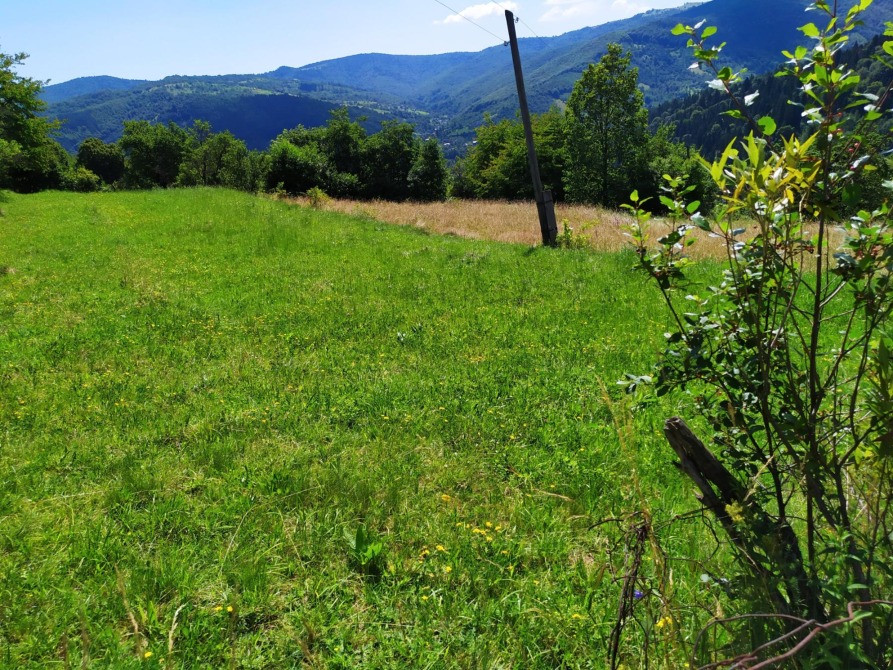 Земельна ділянка в Яремчі 0.12 га Яремче - зображення 2