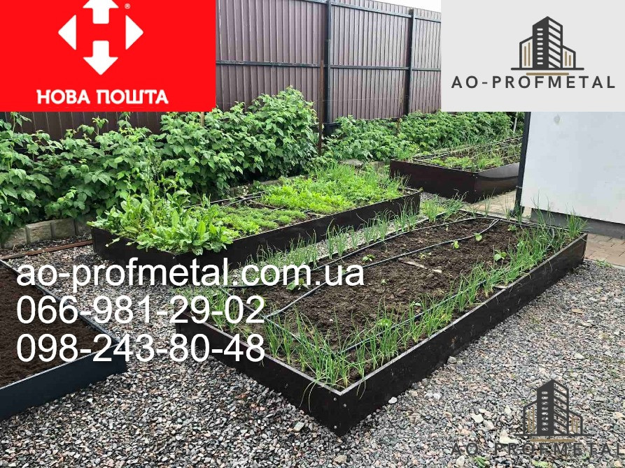 Готові грядки для полуниці. Київ - зображення 4