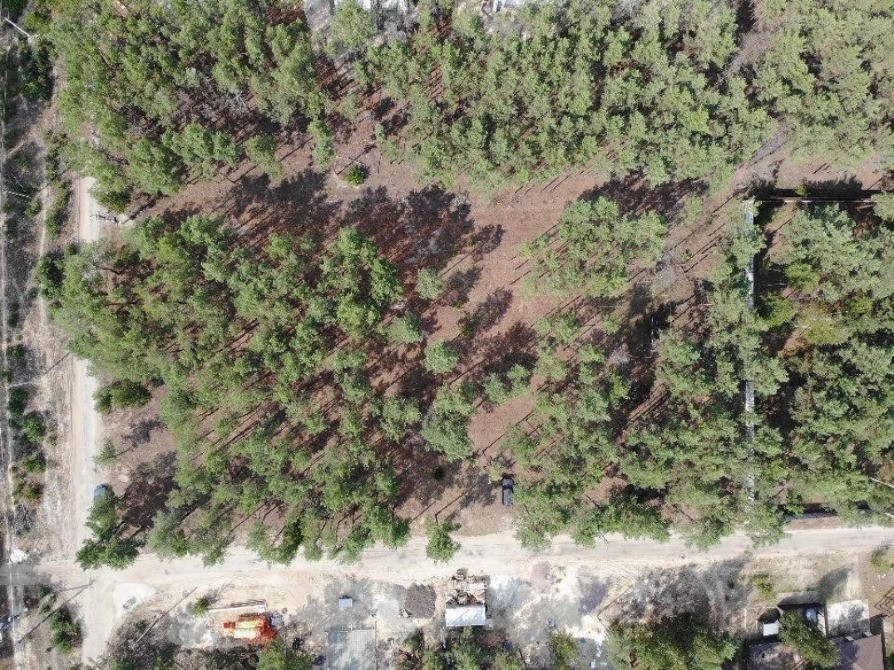 Ділянка під будівництво 34 сотки з лісом Вишгород - зображення 10