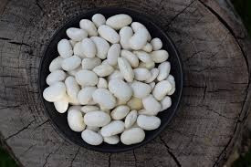 Закупівля квасолі на переробку, консервування Чернівці - зображення 1