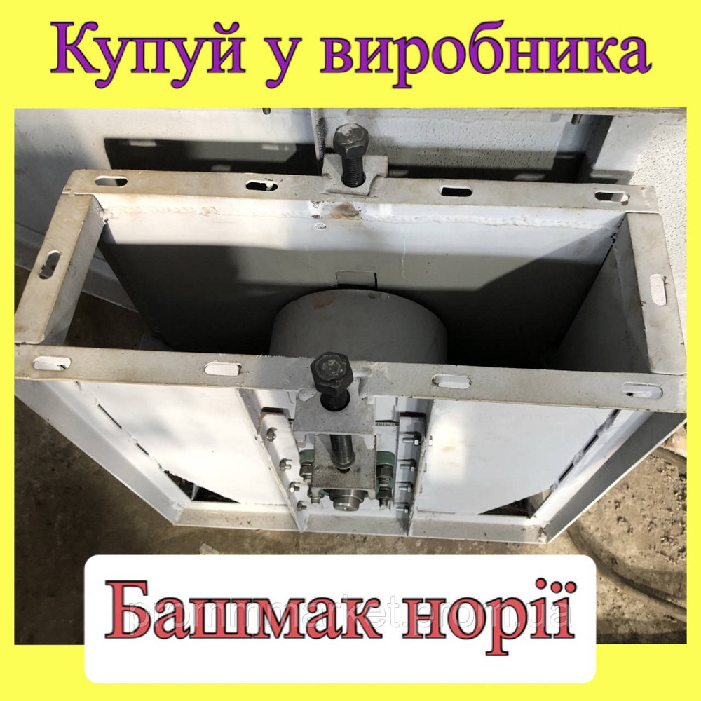 Башмак нории 5 т Днепр - изображение 2