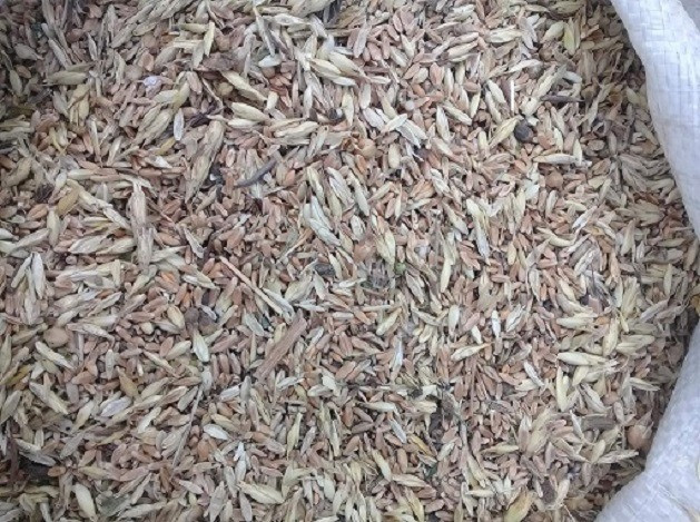 Постійно закуповуємо зерновідходи та некондицію Київ - зображення 1