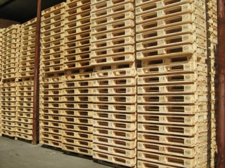 Дерев'яні піддони 1200*800 Бориспіль - зображення 1