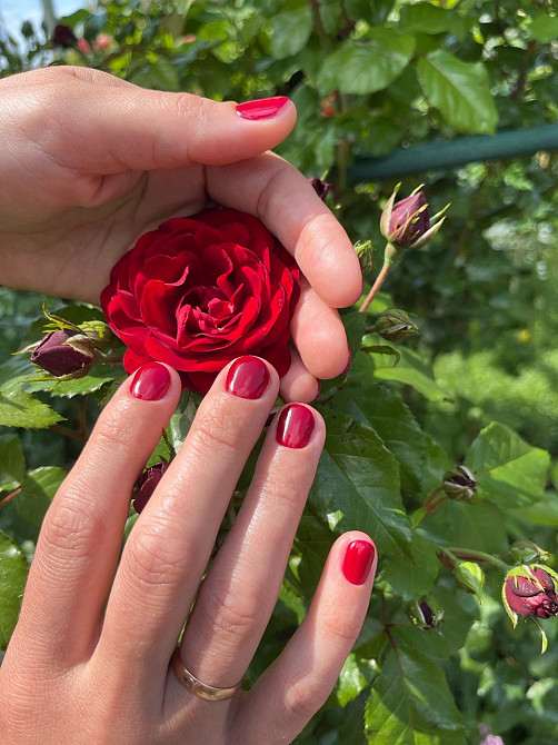 Маникюр | гель-лак | педикюр | город раздельная одесской области Роздільна - зображення 5