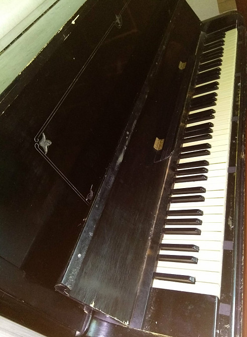 Піаніно Киев - изображение 3