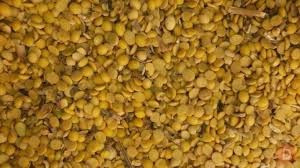 Соя (половинки), відходи кукурудзи. Куплю Черкаси - зображення 1