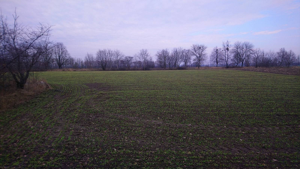 Продається земнльна ділянка Белая Церковь - изображение 10