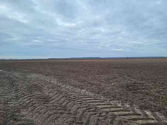 продажа земля сельскохозяйственного назначения Макаровский, Мотыжин, 1167000 грн. 