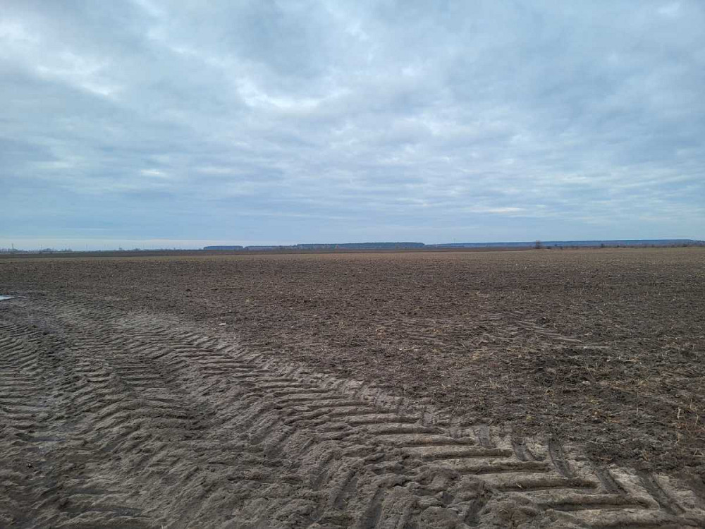 продажа земля сельскохозяйственного назначения Макаровский, Мотыжин, 1167000 грн.  - изображение 2