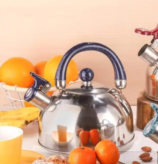 Чайник із свистком Edenberg EB-3552-Blue 2.5 л синій Київ - зображення 1