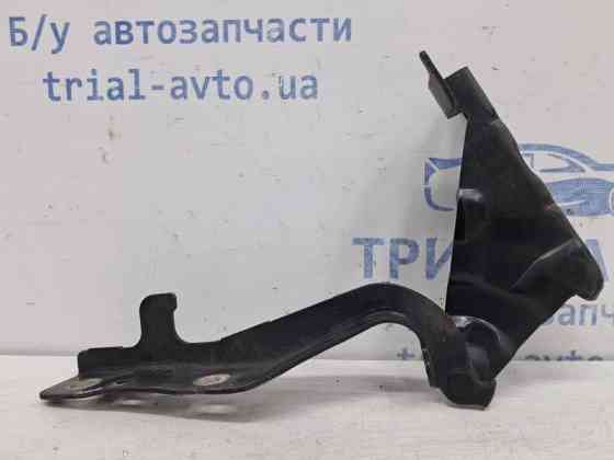Петля капота левая SsangYong Korando C200 2.0 DIESEL D20DT 2010 (б/у) Київ