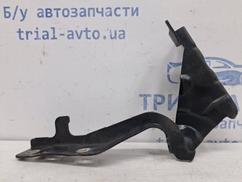 Петля капота левая SsangYong Korando C200 2.0 DIESEL D20DT 2010 (б/у) Киев - изображение 1
