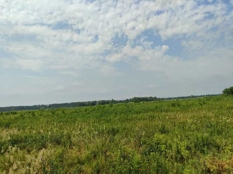 продажа земля сельскохозяйственного назначения Бородянский, Озера, 16265154 грн.  - зображення 10