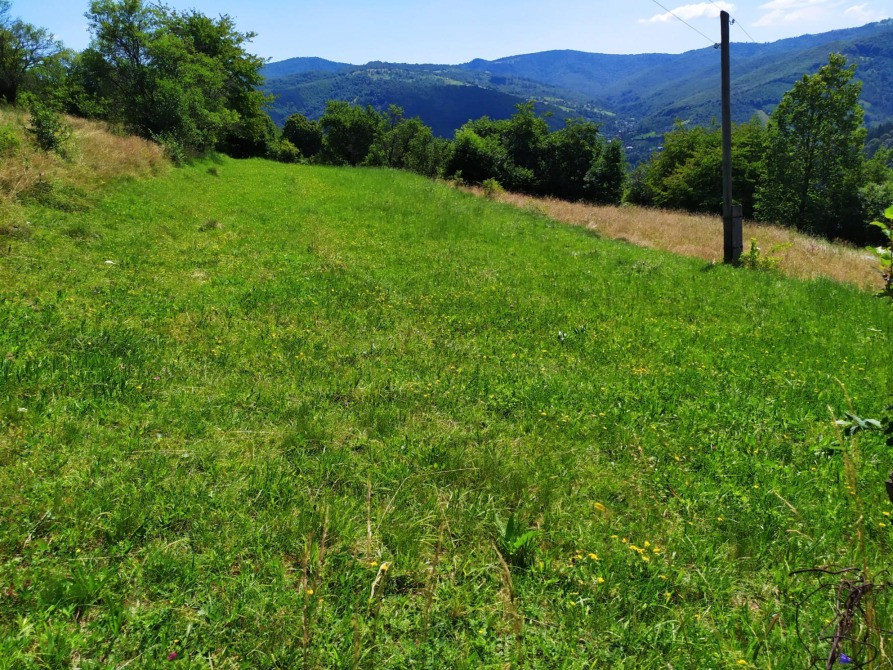 Земельна ділянка в Яремчі 0.12 га Яремче - зображення 1