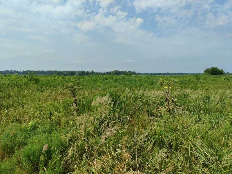 продажа земля сельскохозяйственного назначения Бородянский, Озера, 16265154 грн.  - зображення 4