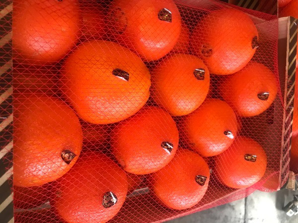 Продаем апельсины Киев - изображение 1