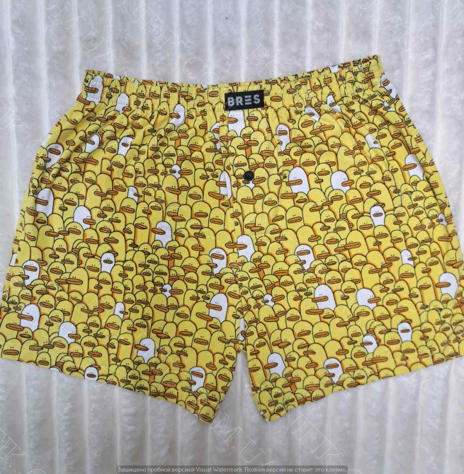 Мужские семейные трусы с принтом «Уточки» ТМ "BRES" (арт. MBXK 307/01/118) Кривий Ріг - зображення 2