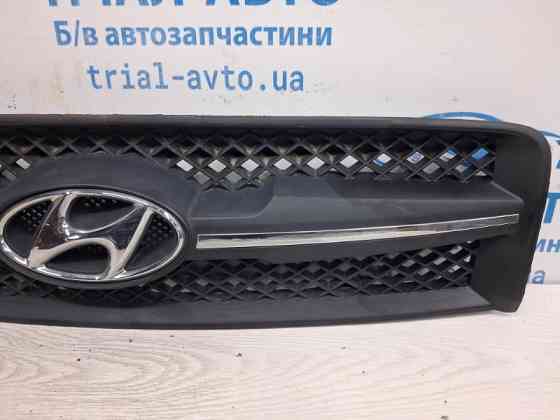 Решетка радиатора Hyundai Tucson 2004-2009 863502E000 (Арт. 79489) Киев