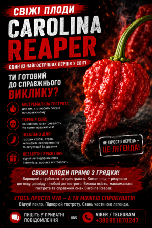Свіжі плоди Carolina Reaper — прямо з грядки! Кароліна ріпер Долинская