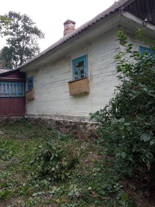 Продається будинок в селі Черниця Корец - изображение 5