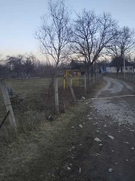 продажа земля сельскохозяйственного назначения Хустский, Залом, 99682 грн.  - зображення 3