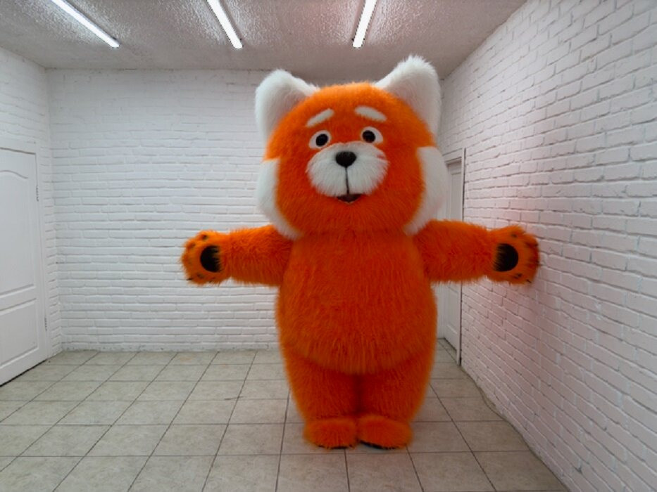 Костюм надувний Червона панда Киев - изображение 8