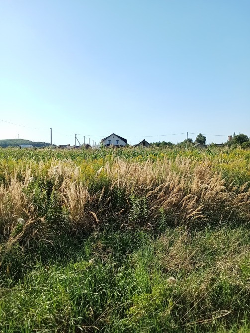 с. Гряда продаж земельної ділянки під забудову Львів - зображення 6