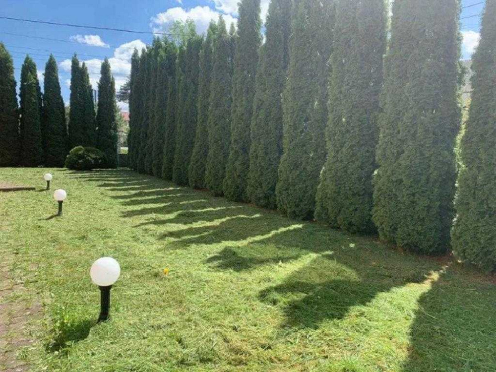 Продаж житлових будинків Дрогобич (с. Раневичі ). !Від власника!  - зображення 6